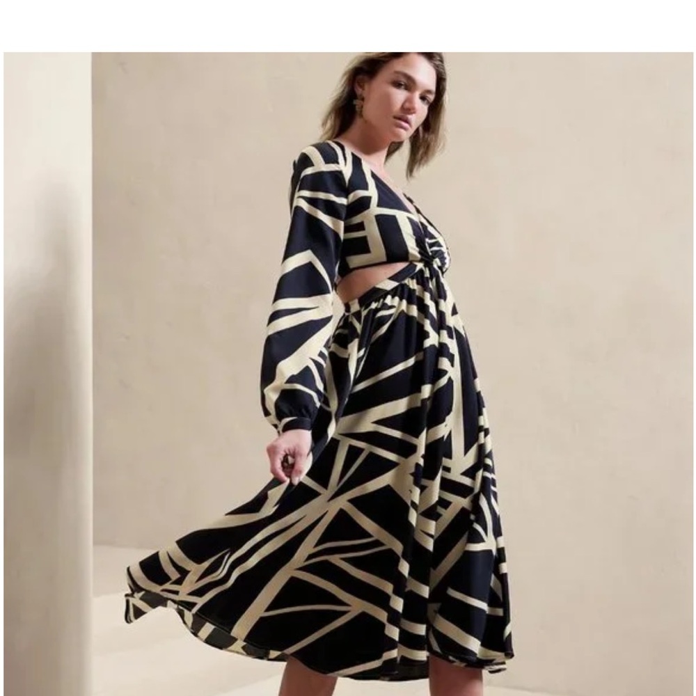 Banana Republic Dark blue and Cream Dress